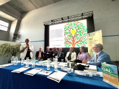 Manifesto di Giffoni: 10 punti su cui progettare la politica integrata per le aree rurali 2028–2034”