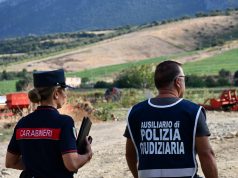 Capaccio, allevamento bufalino sequestrato: denunciato il titolare