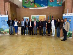 Settore corilicolo in crisi, il Gal scrive alla Regione Campania
