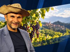 Uva Sanginella, una tradizione da custodire