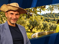 Olio extravergine, l’oro verde delle nostre colline