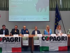 Eboli, filiera bufalina: Bcc in prima linea