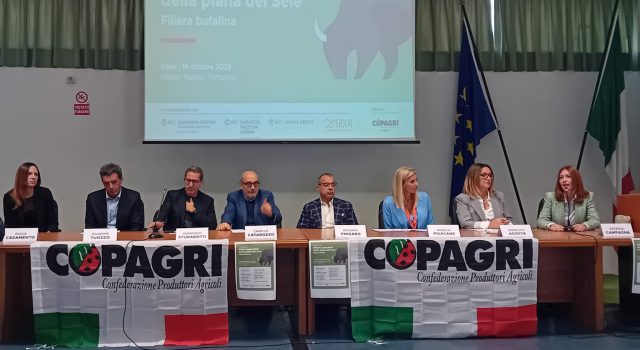 BCC convegno filiera bifalina 14 ottobre 2026