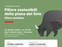 Eboli, filiera bufalina: domani incontro su innovazione e sostenibilità
