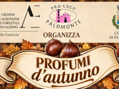 Palomonte, la castagna protagonista di «Profumi d’autunno»