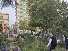 Battipaglia, albero cade in piazza Amendola: ferite una bimba e una ragazza